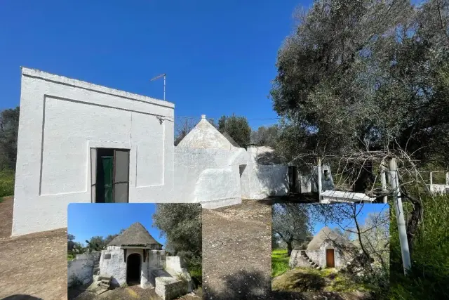 insertion image