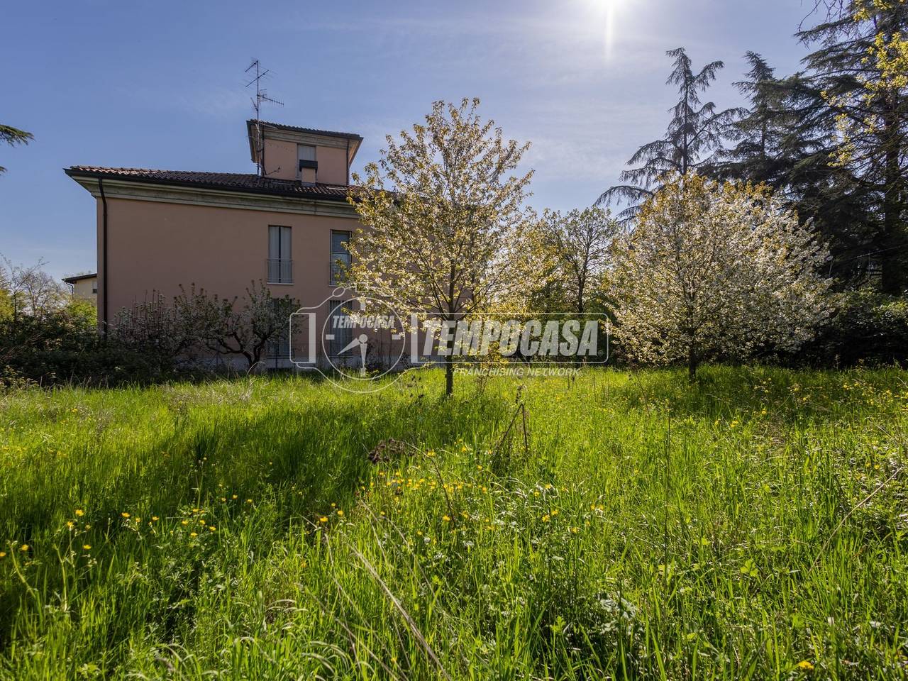 immagine annuncio 11 di 14