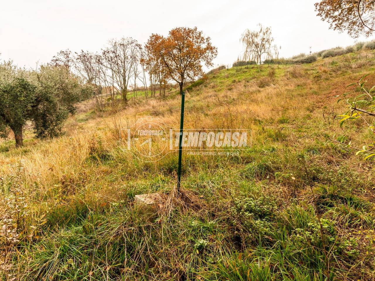 immagine annuncio 8 di 13