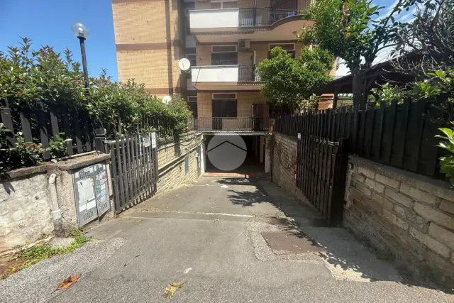 insertion image