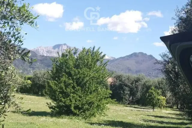 Terreno edificabile in Via Fontana, Pietrasanta - Foto 1