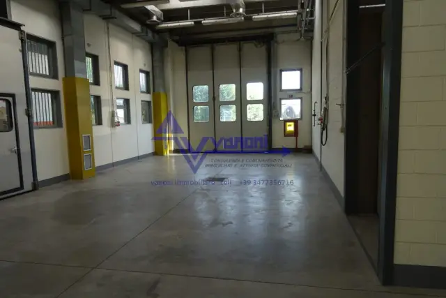 insertion image