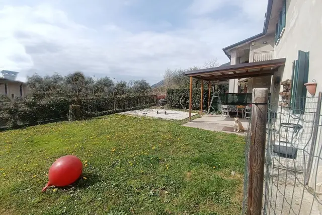 insertion image