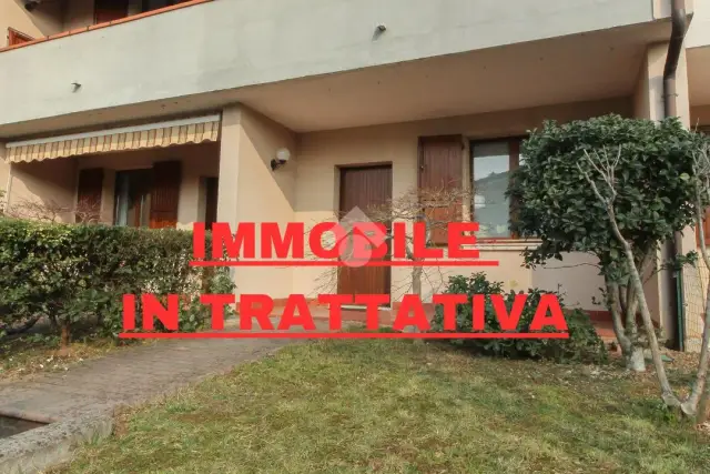insertion image