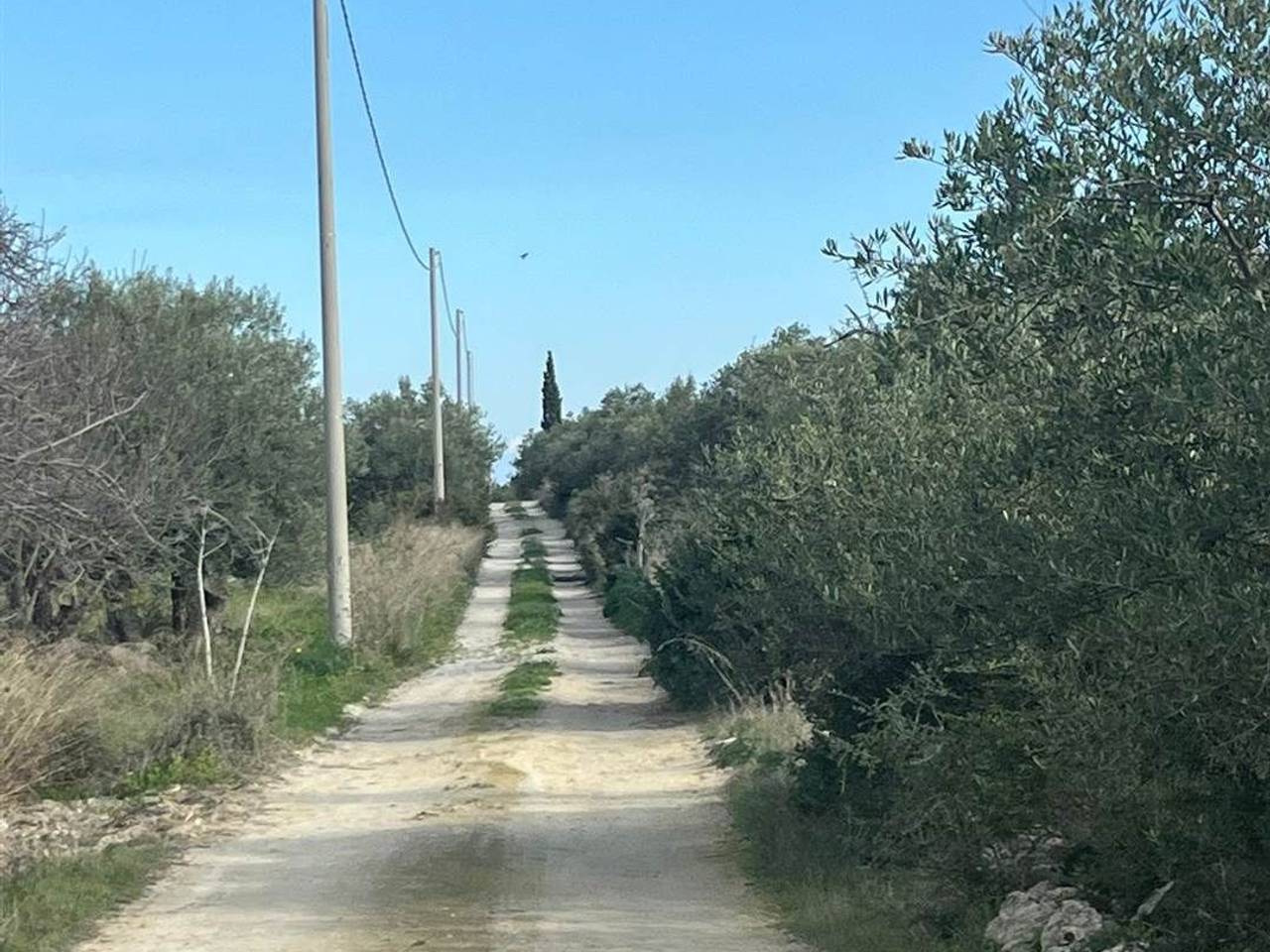 immagine annuncio 3 di 4