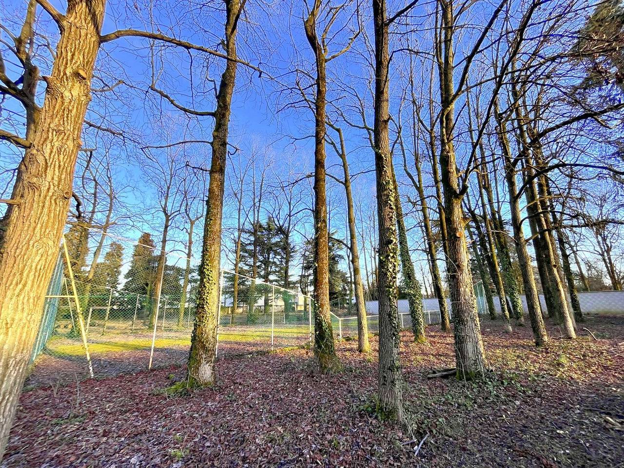 immagine annuncio 1 di 4