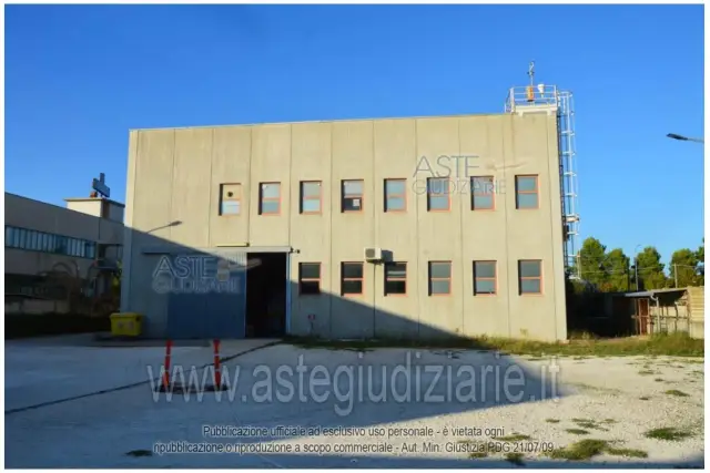 insertion image