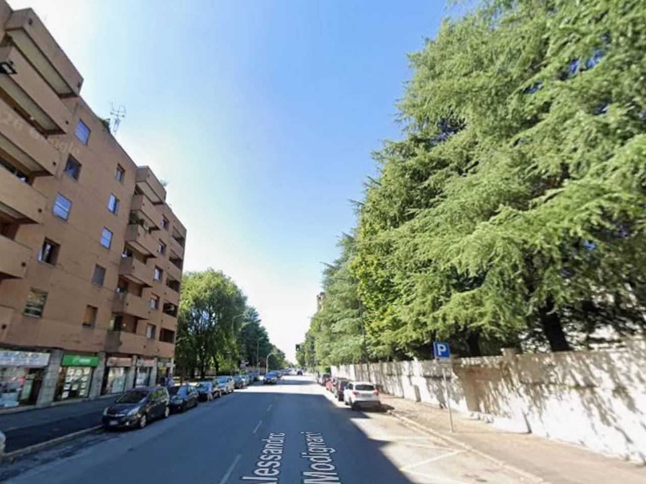 immagine annuncio 2 di 8