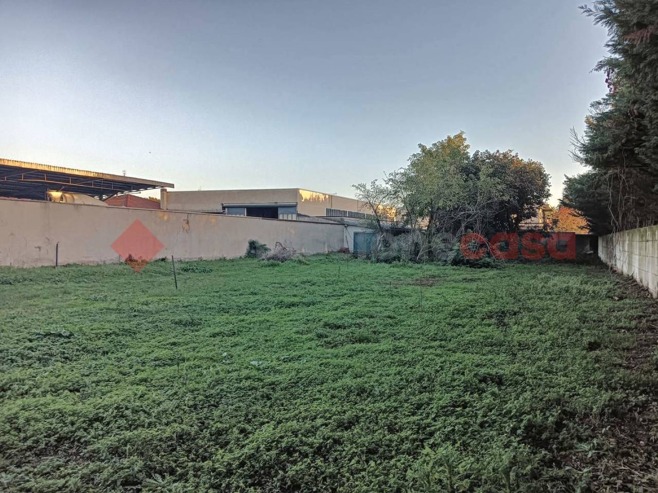 immagine annuncio 11 di 13