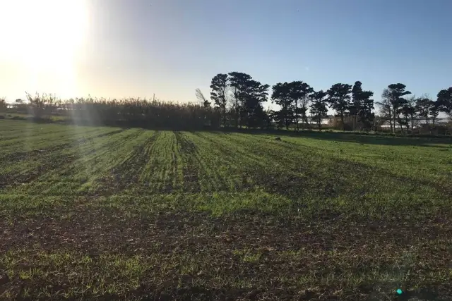 Terreno agricolo, Pachino - Foto 1