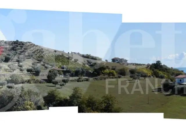 insertion image