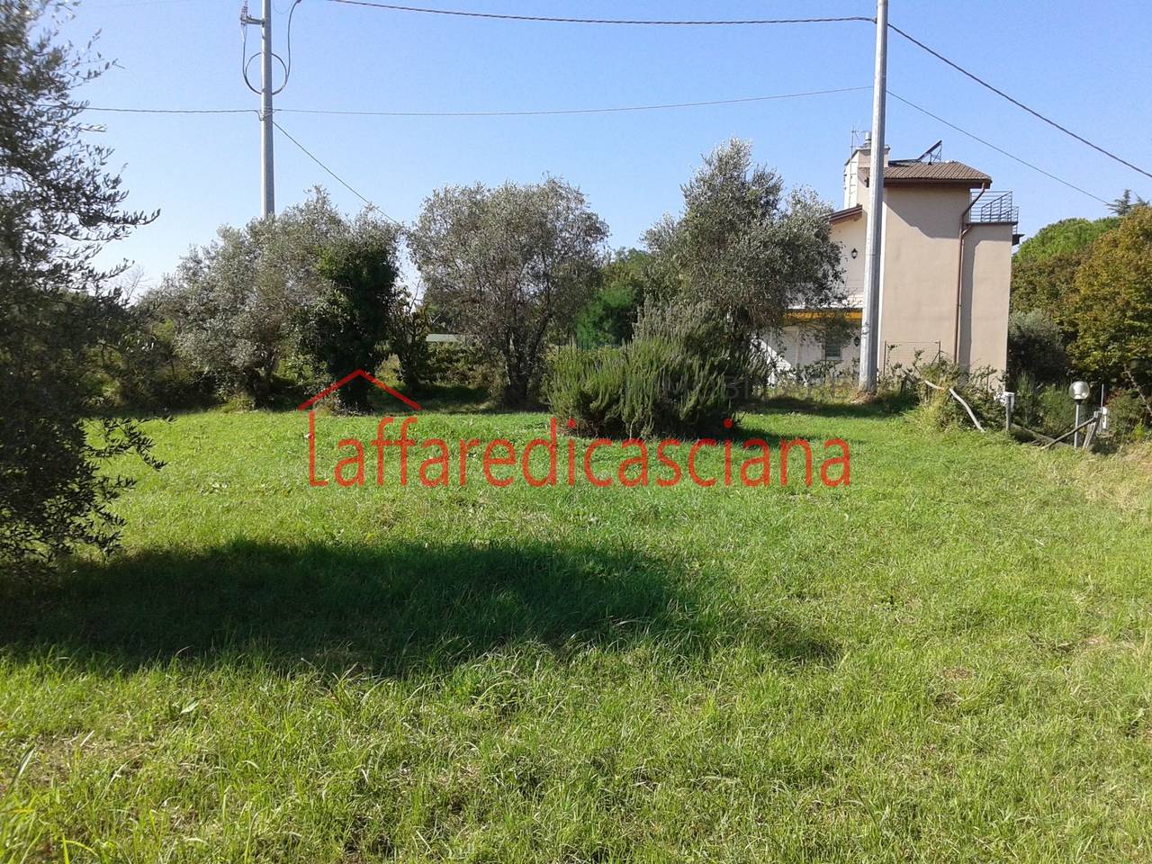 immagine annuncio 3 di 7