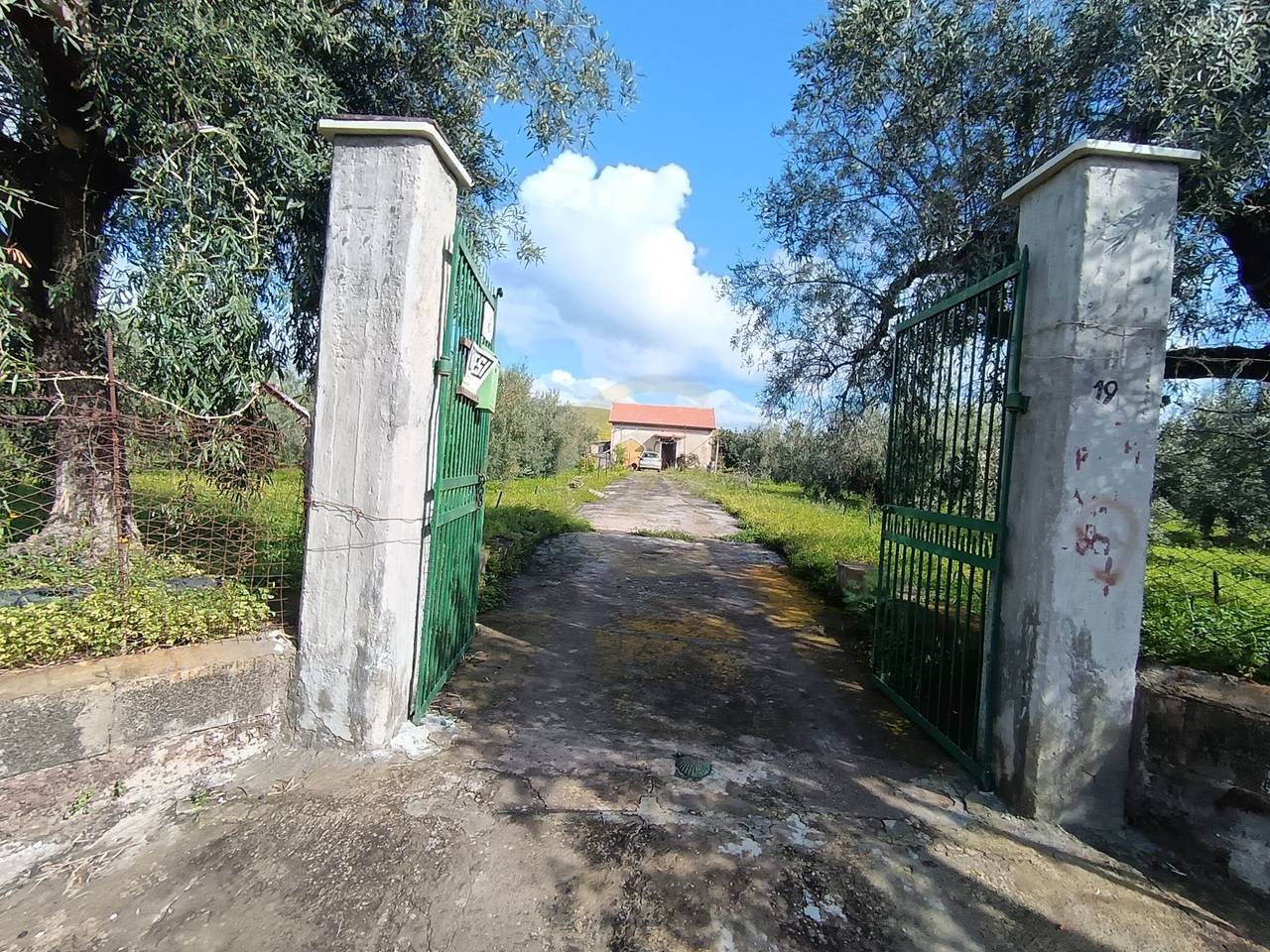 immagine annuncio 1 di 15