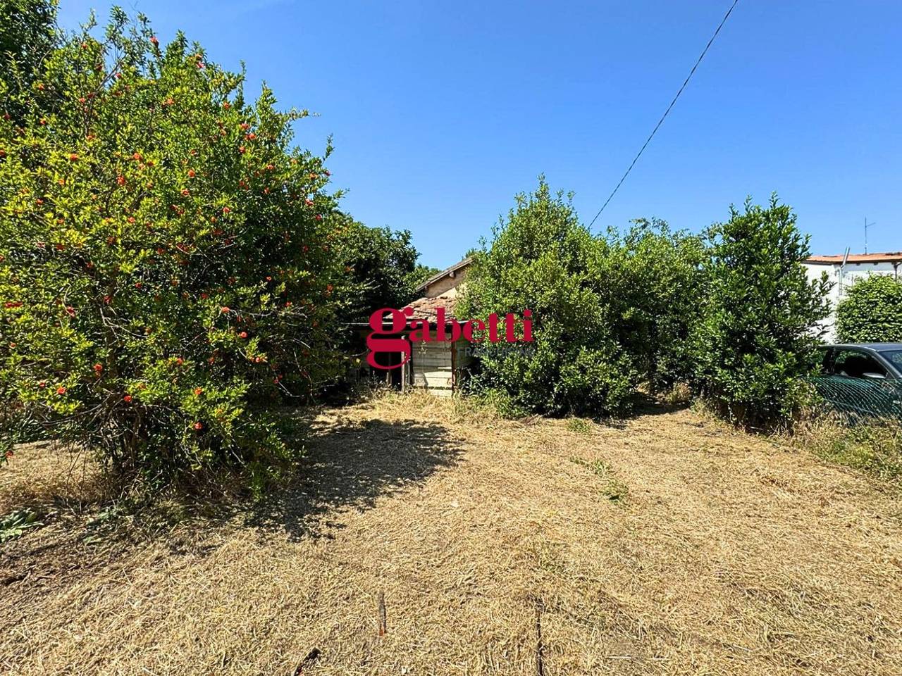 immagine annuncio 6 di 11