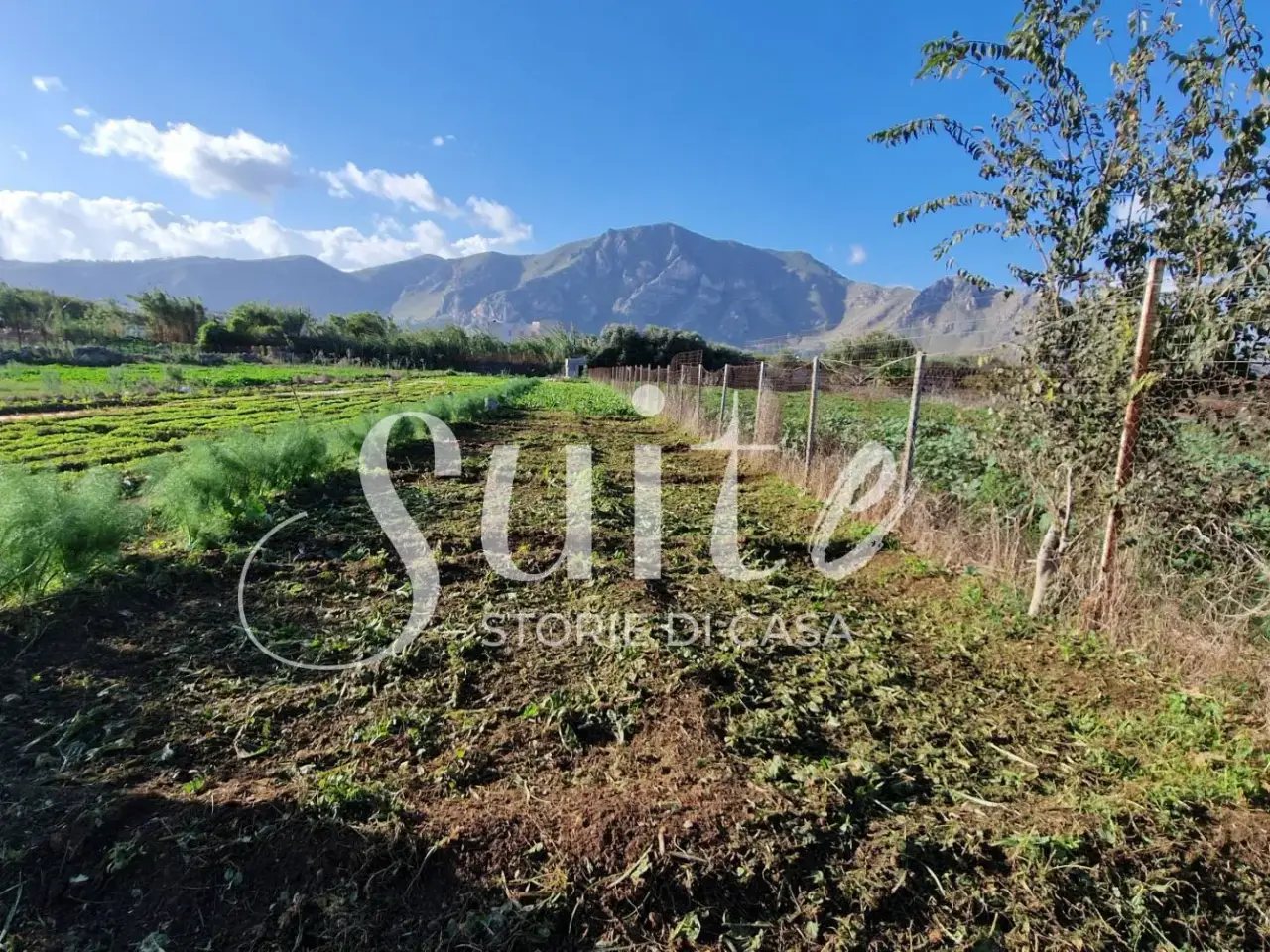 Terreno agricolo in Piazzetta Giunchi Snc, Palermo - Planimetria 1