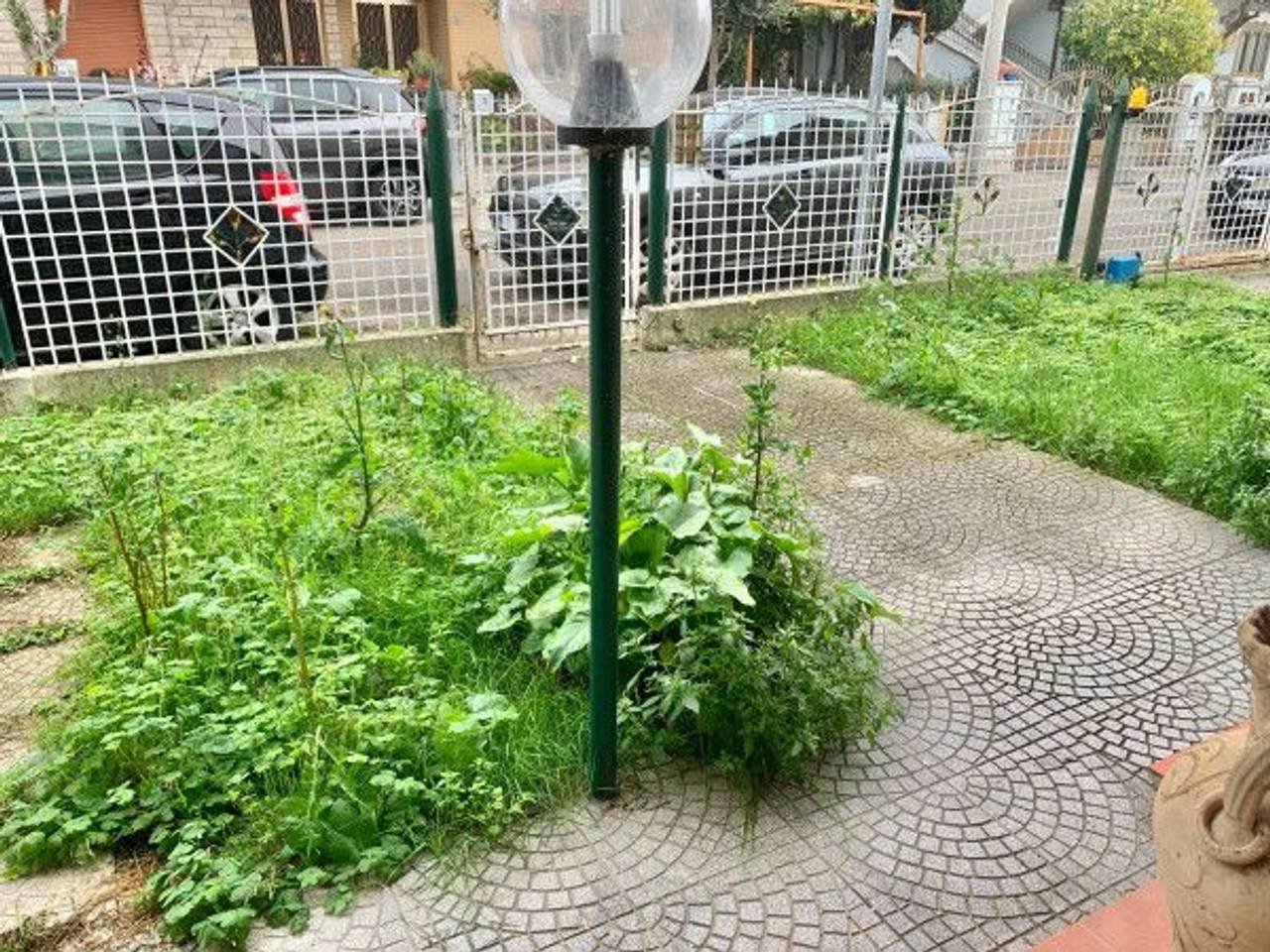 immagine annuncio 3 di 13