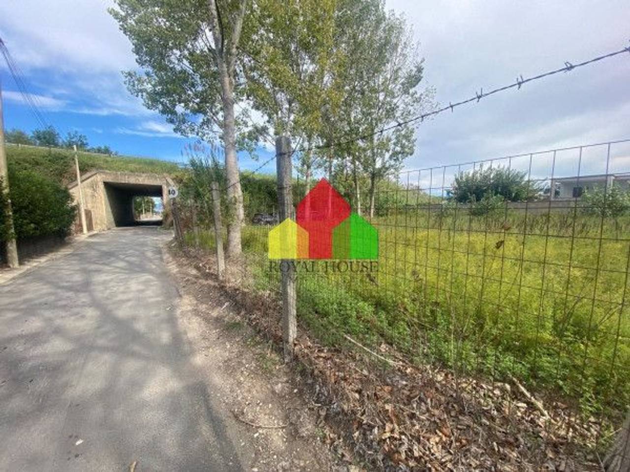 immagine annuncio 2 di 12