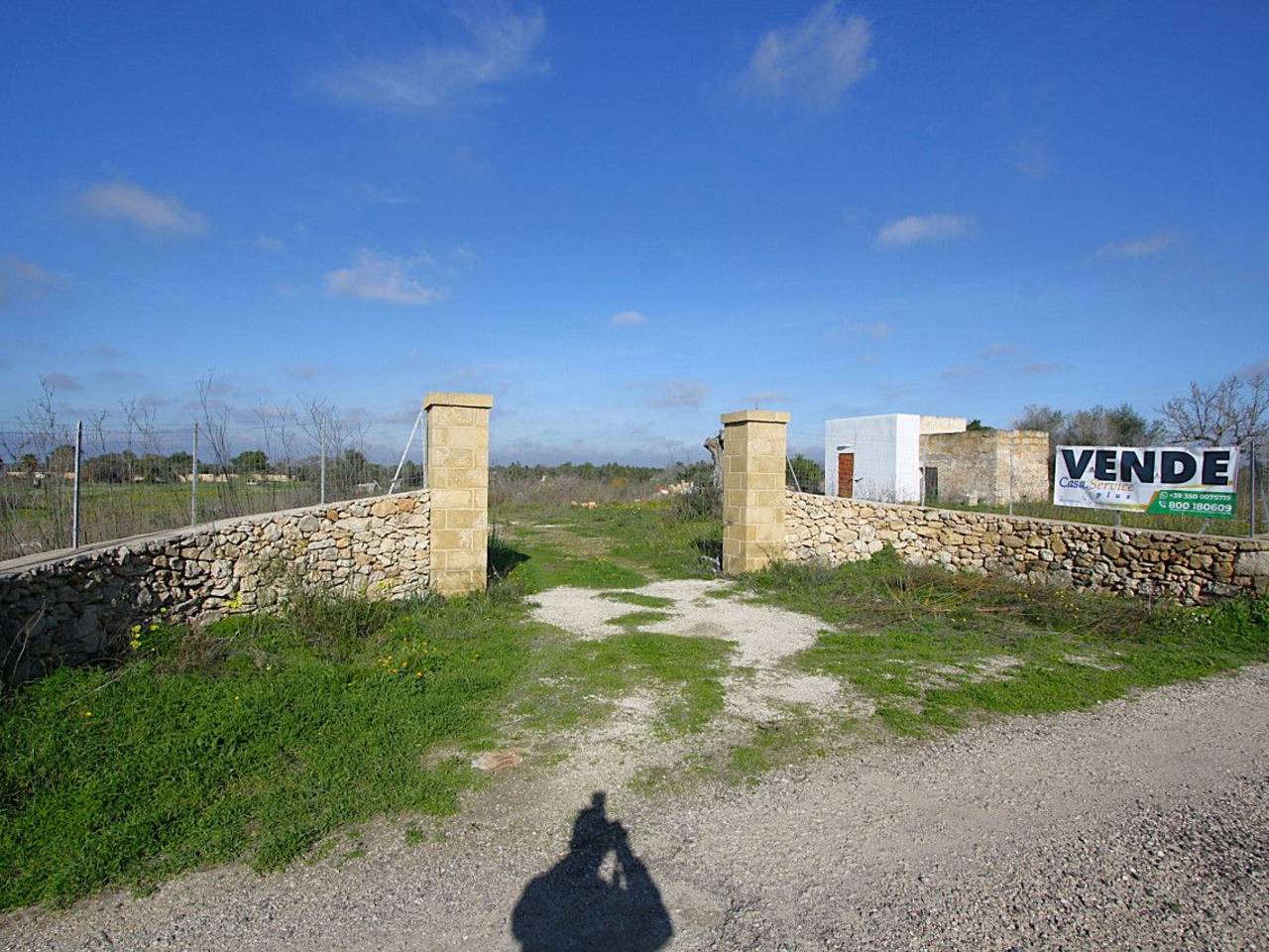 immagine annuncio 8 di 15