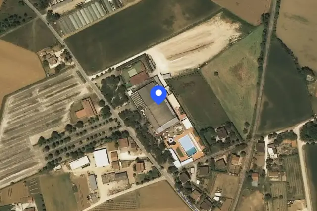 insertion image