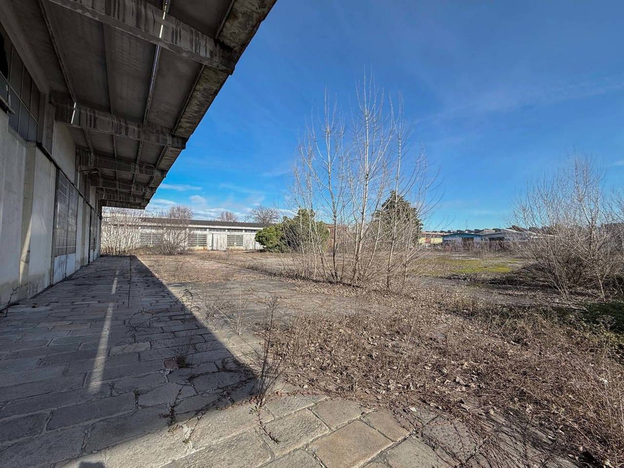 immagine annuncio 8 di 11