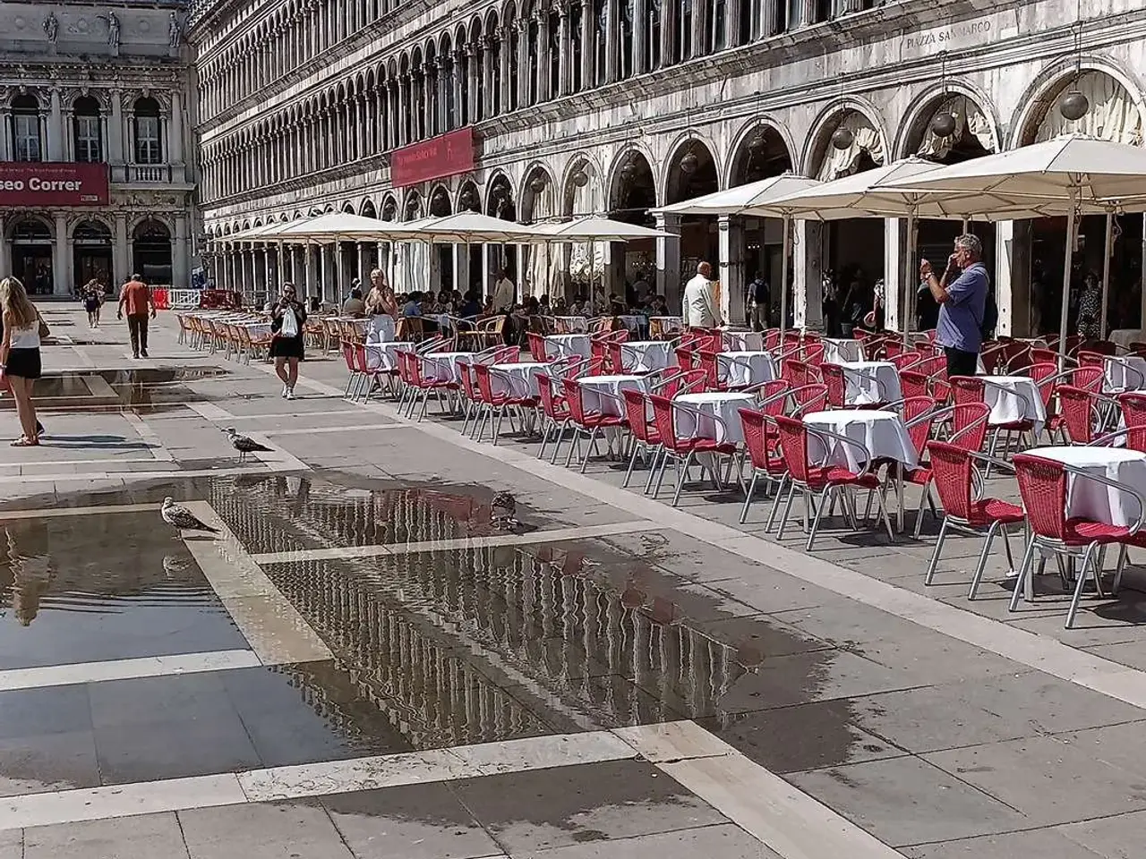 Negozio in Riva degli Schiavoni , Venezia, {3} - Foto 2