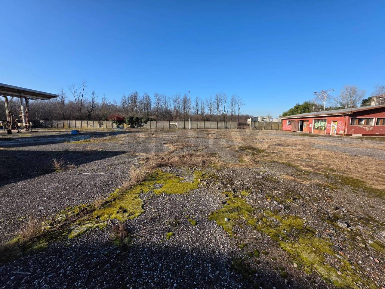 immagine annuncio 5 di 8