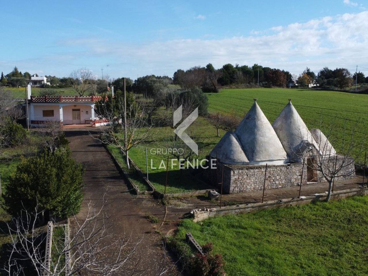 immagine annuncio 10 di 15