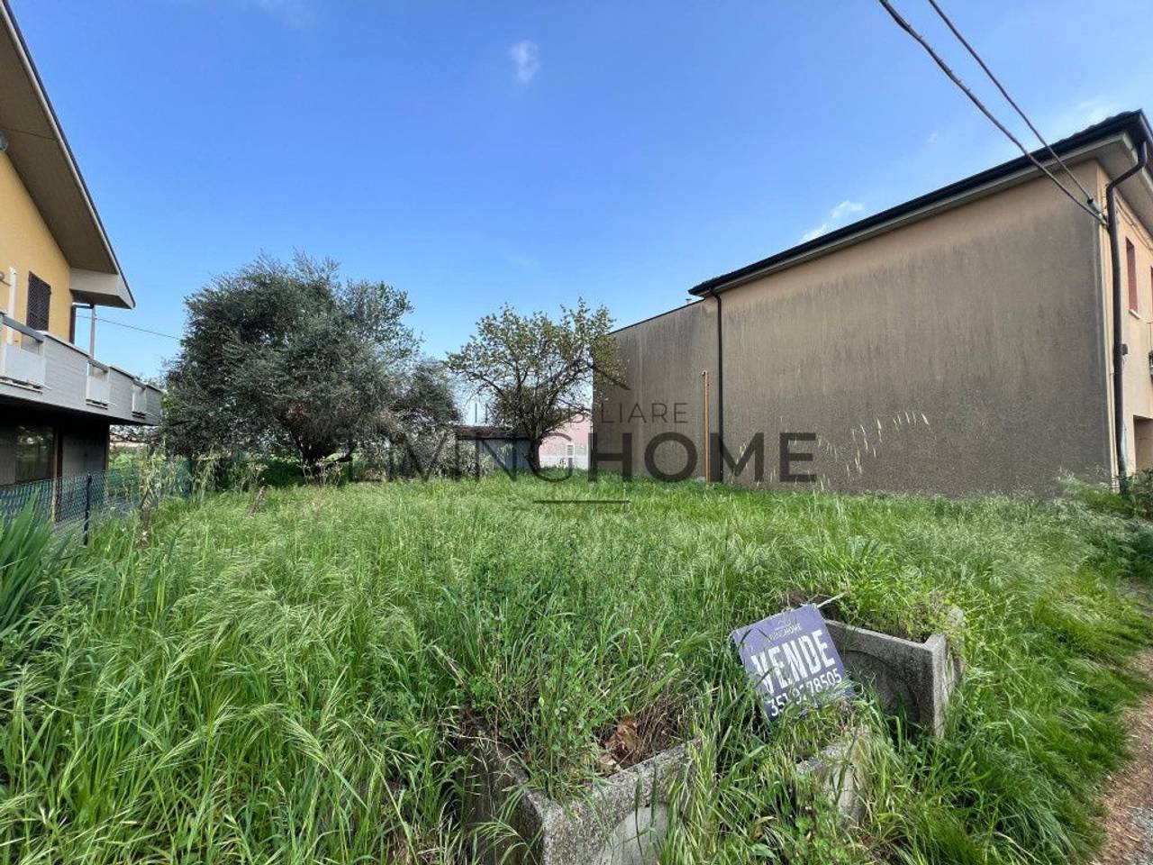 immagine annuncio 4 di 7