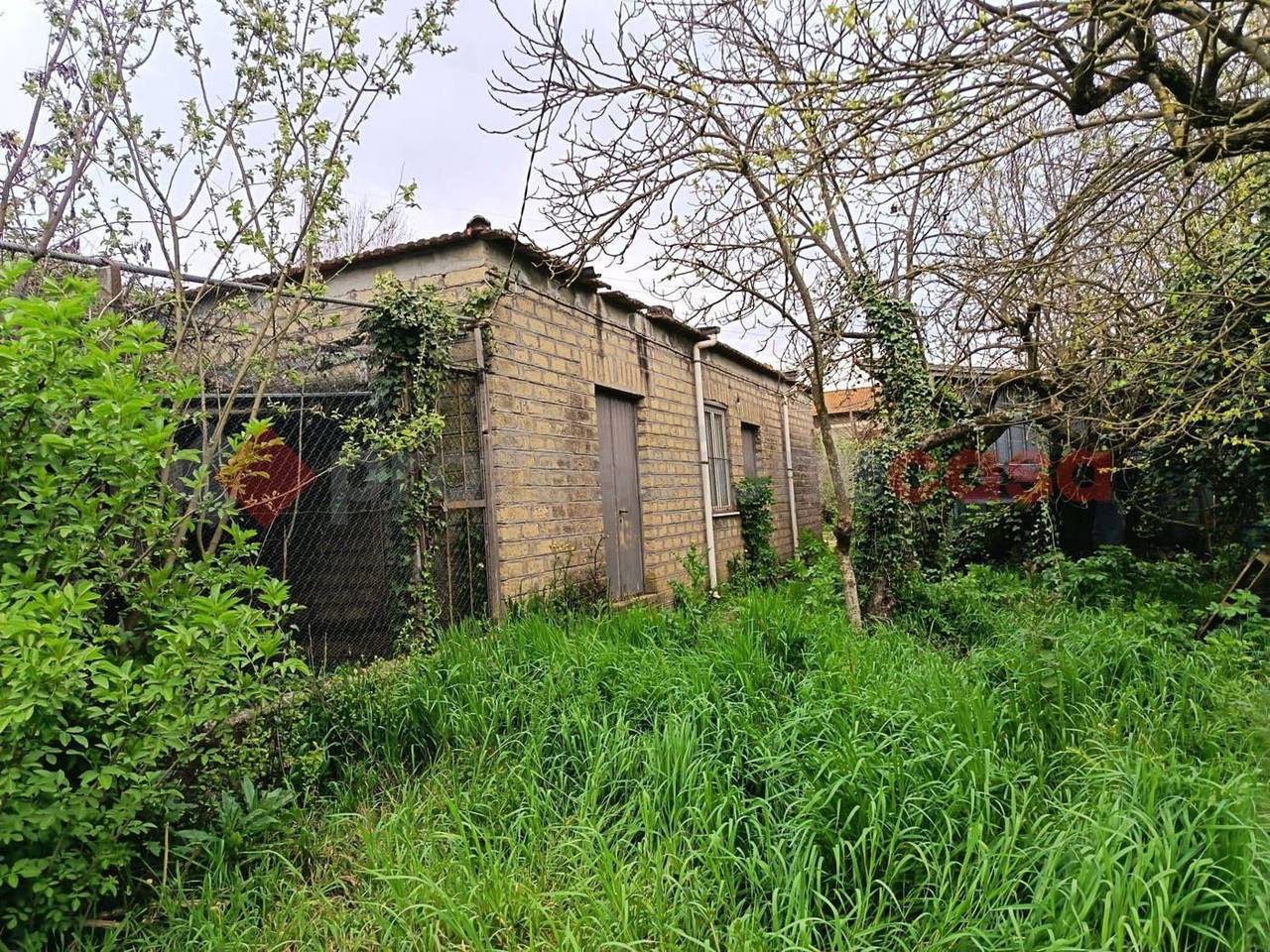 immagine annuncio 4 di 11