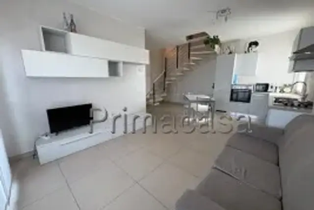 insertion image