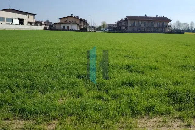 insertion image
