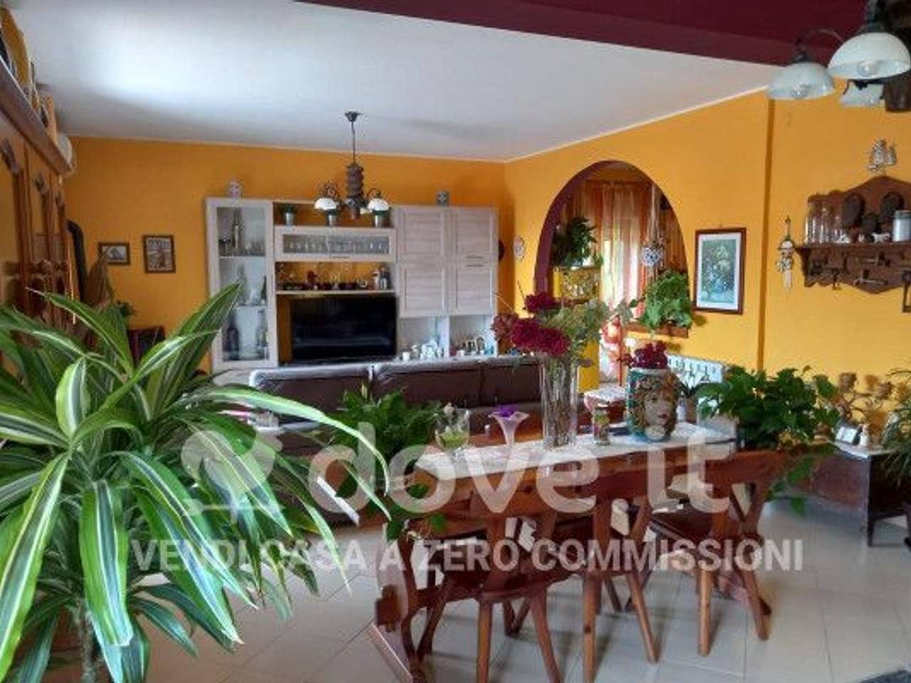 immagine annuncio 1 di 6