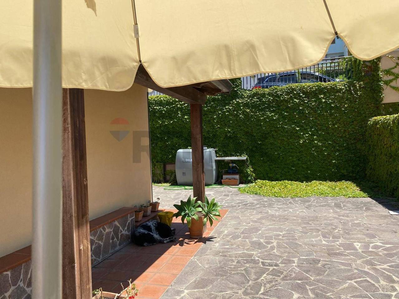 immagine annuncio 5 di 12