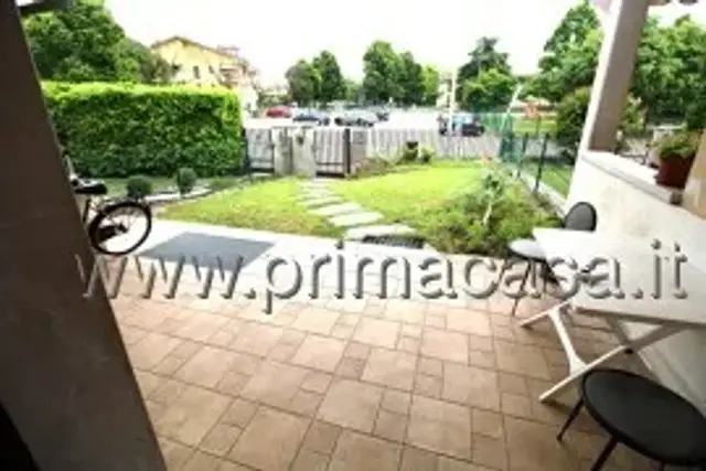 insertion image