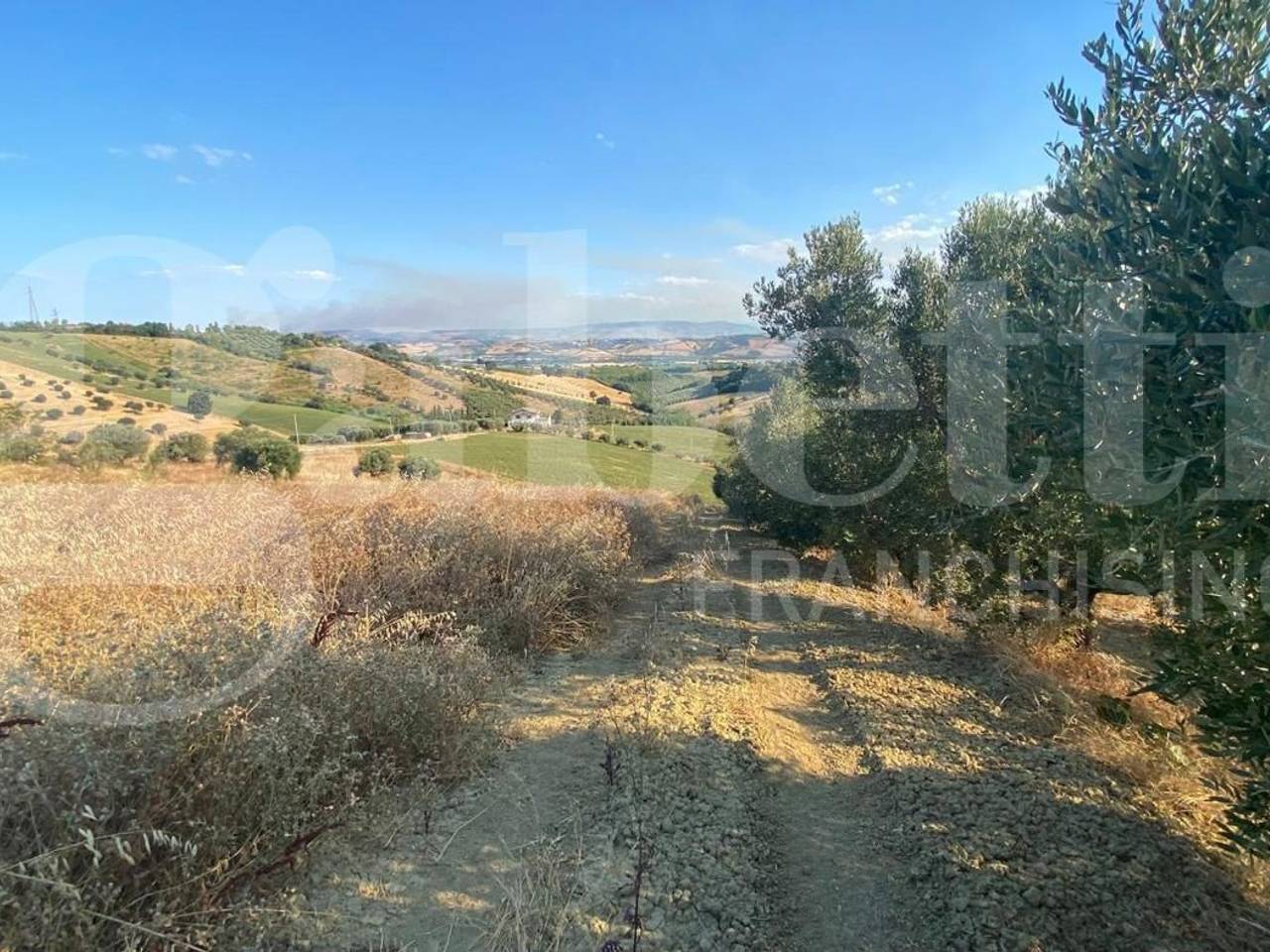 immagine annuncio 6 di 11