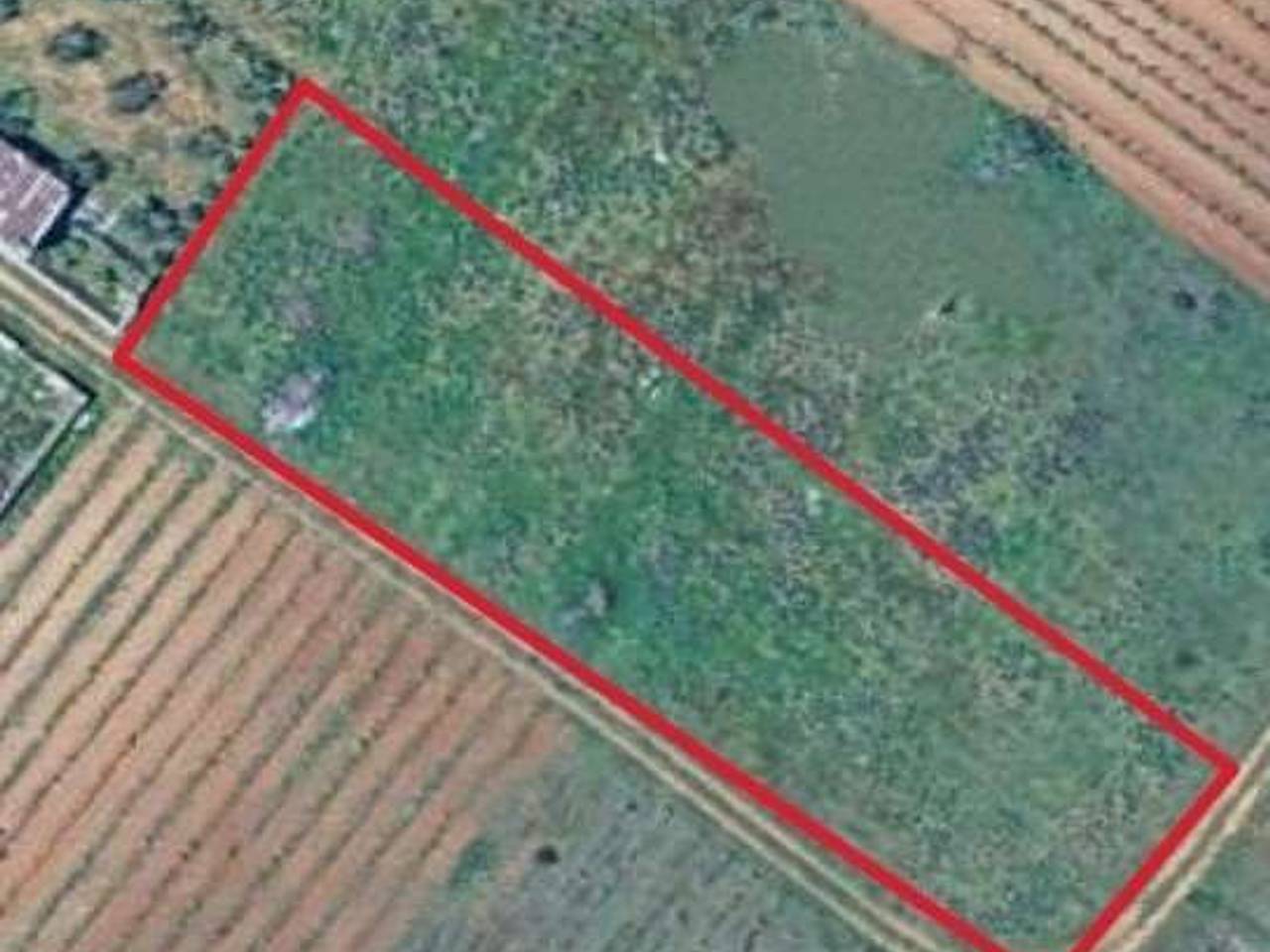 immagine annuncio 1 di 2