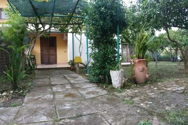 3-room flat in Contrada Grisi, Ascea - Photo 1