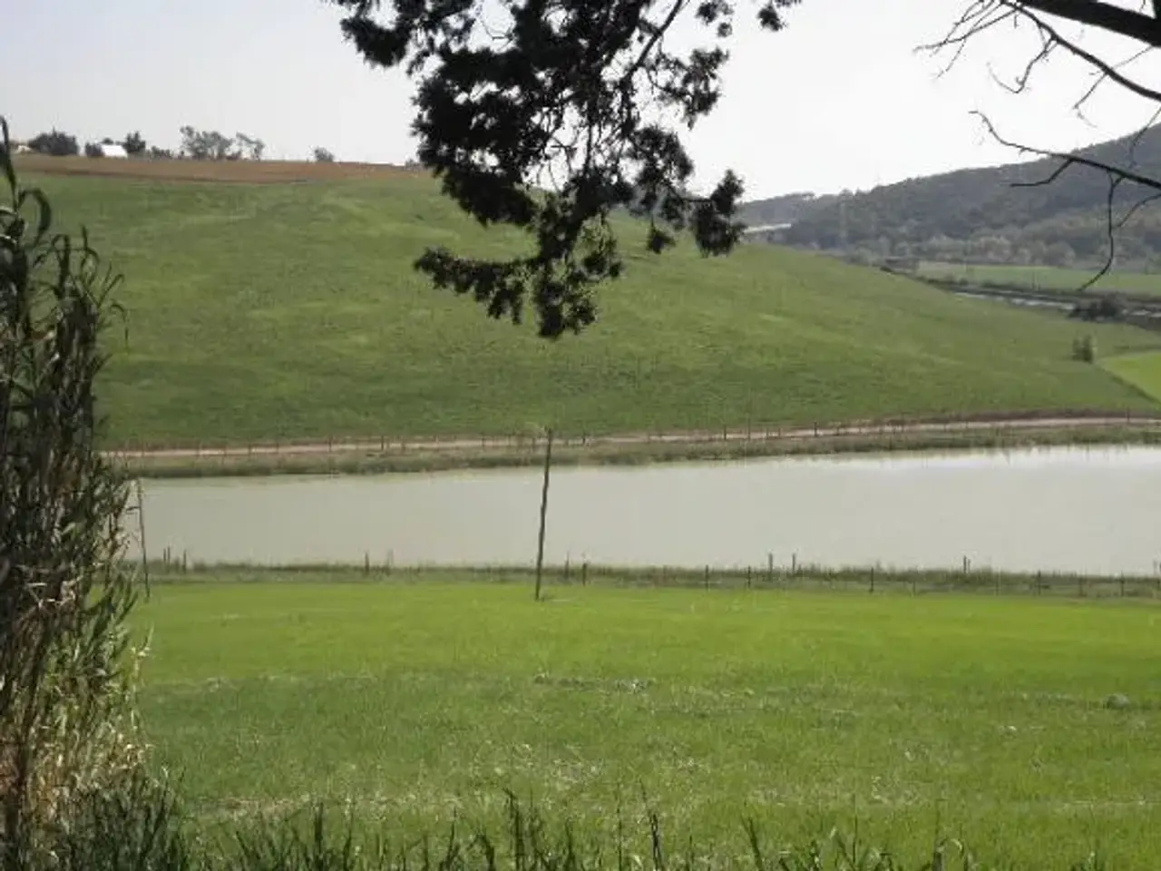 Azienda agricola in Località Maccetti, Rosignano Marittimo, {3} - Foto 2