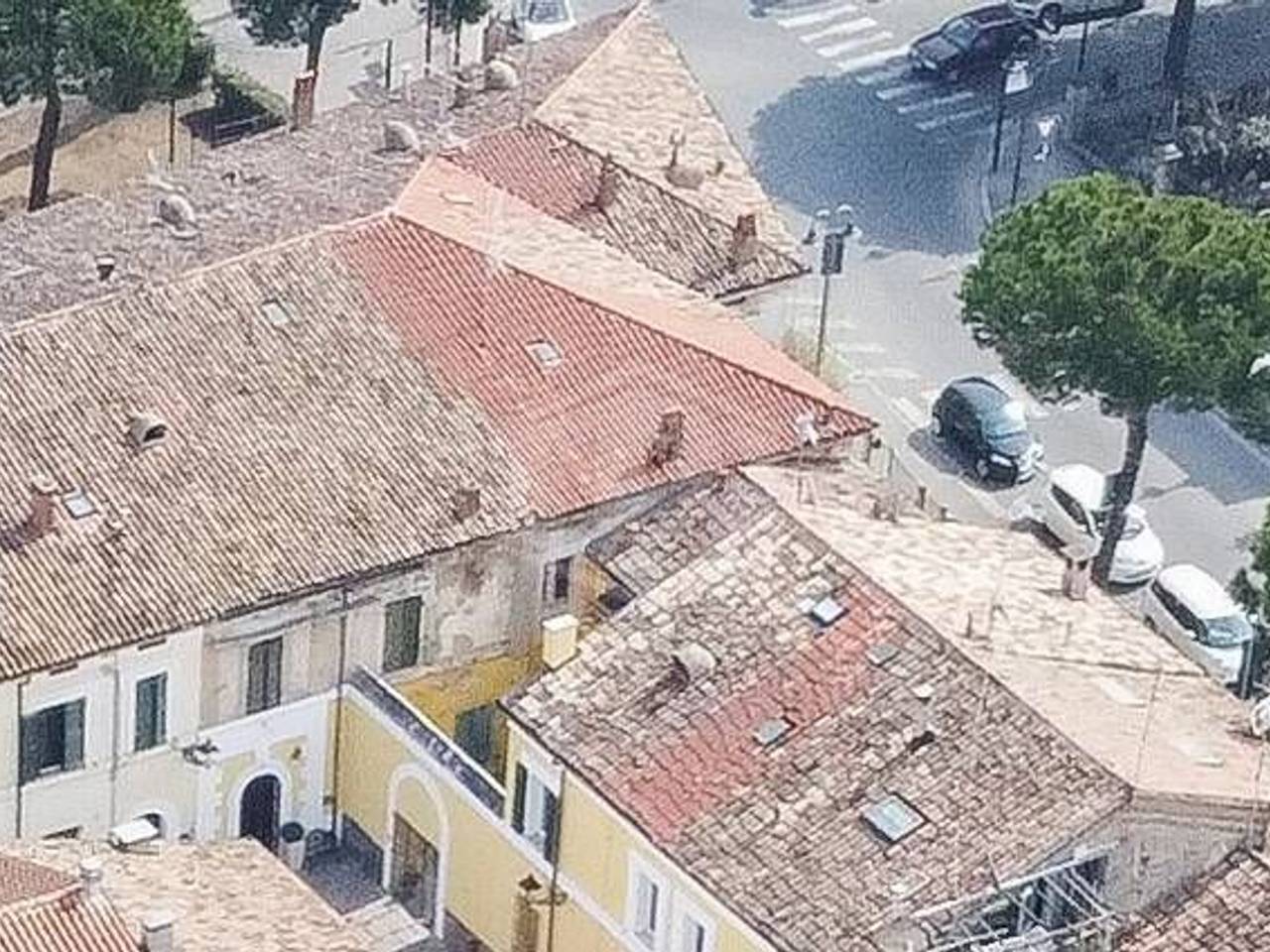 immagine annuncio 7 di 14