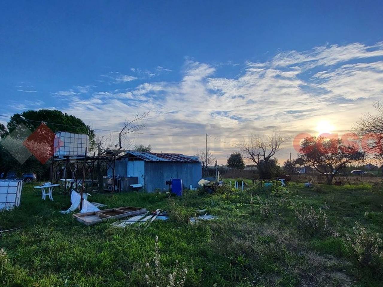 immagine annuncio 2 di 11