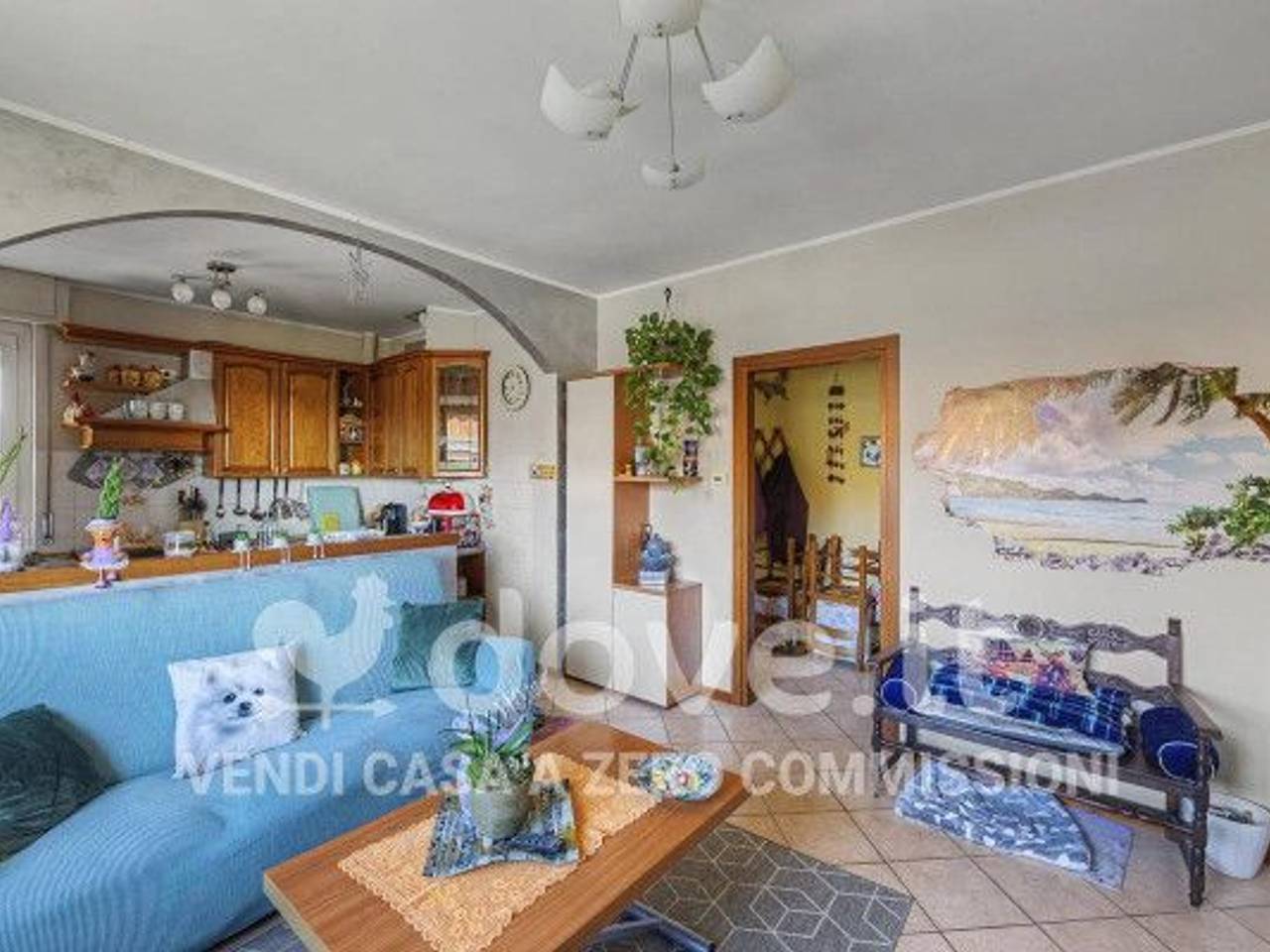 immagine annuncio 2 di 15