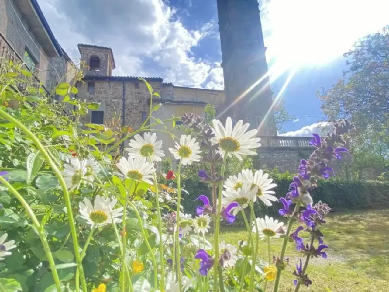 Azienda agricola in San Pietro, Agazzano, Agazzano, {3} - Foto 1