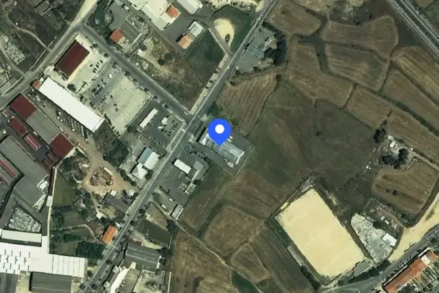 insertion image