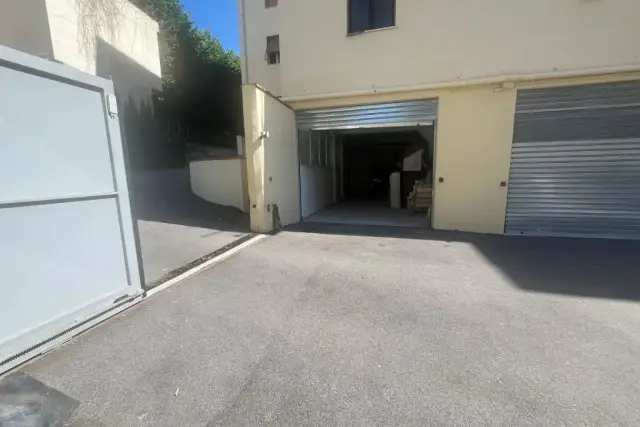 insertion image