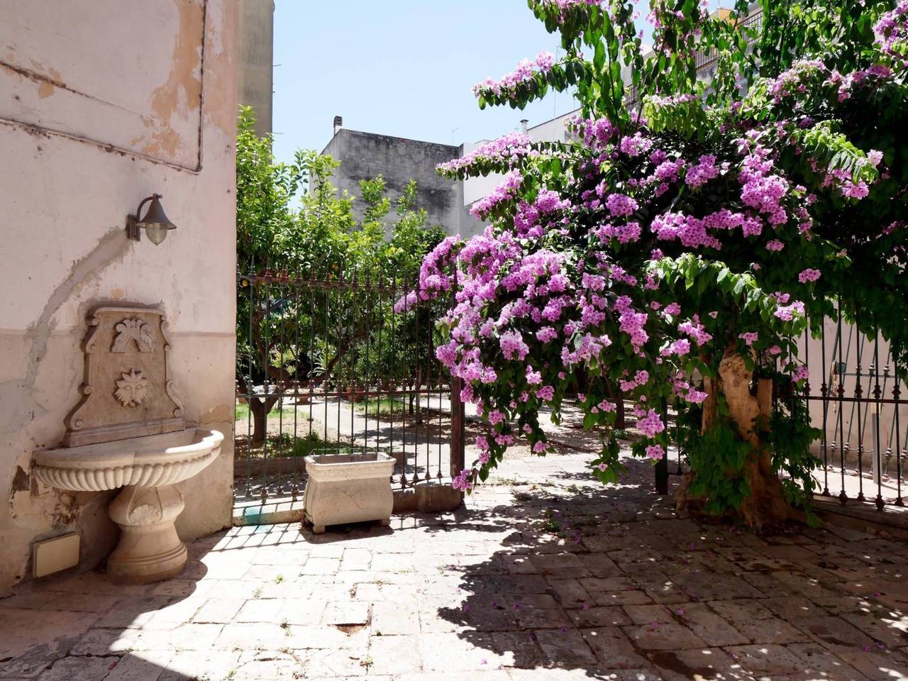 immagine annuncio 2 di 7