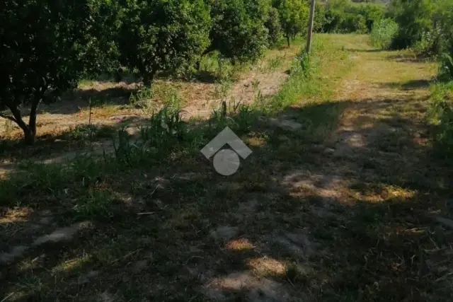 insertion image