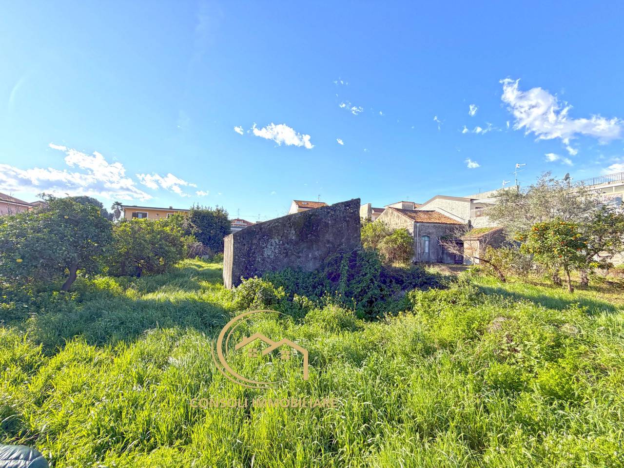 immagine annuncio 4 di 7