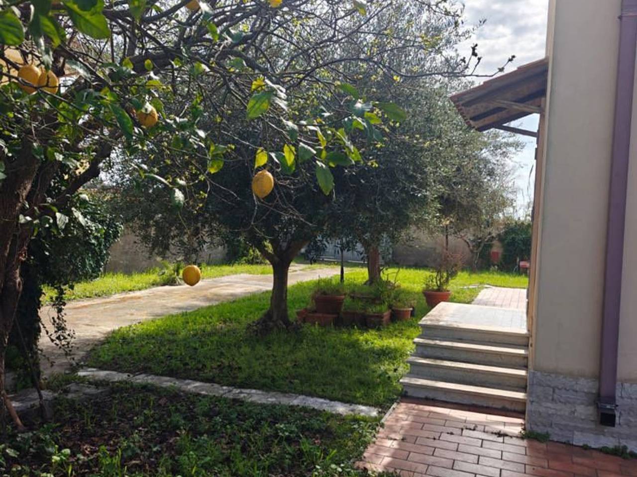 immagine annuncio 6 di 12