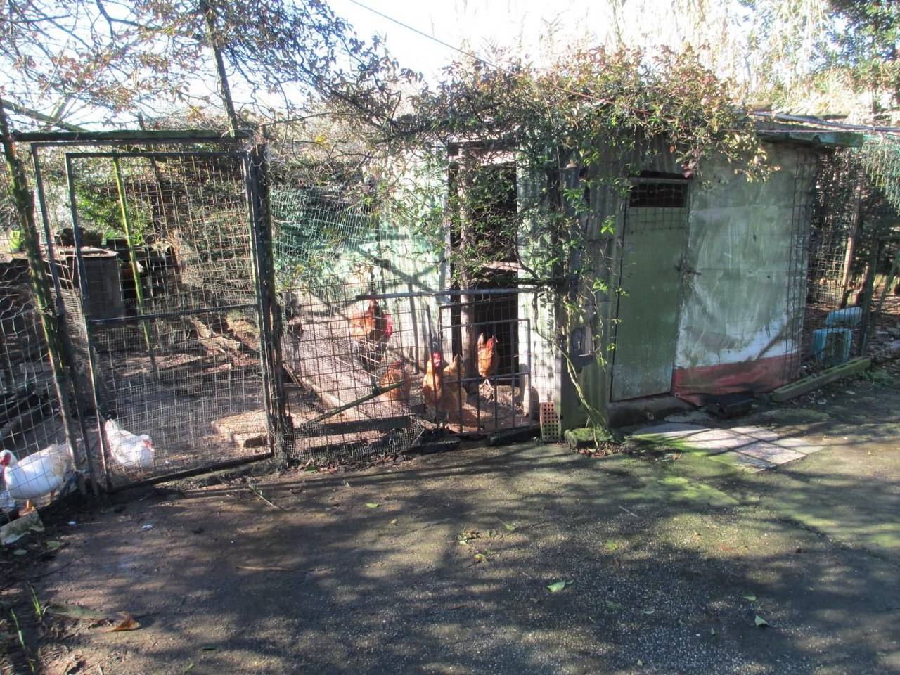 immagine annuncio 2 di 7