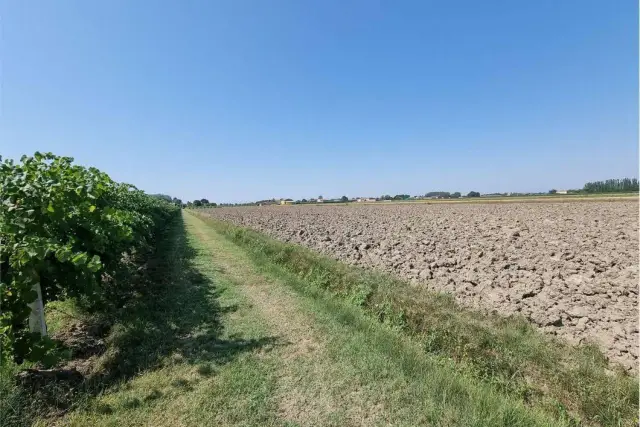 Terreno agricolo, Carpi - Foto 1